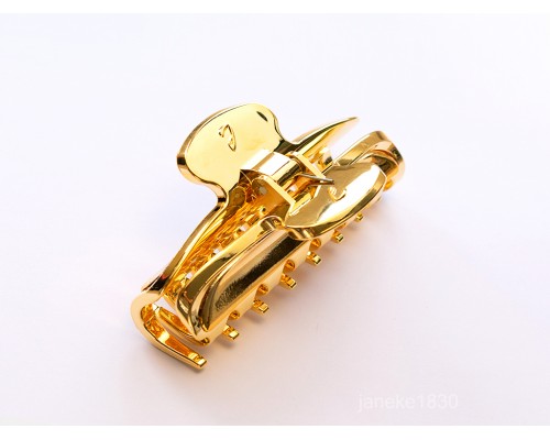 JG29100G Janeke заколка